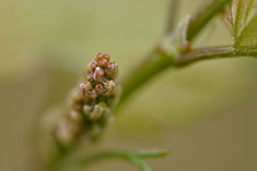 big image 01