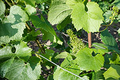big image 02