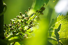 big image 03