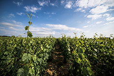 big image 04