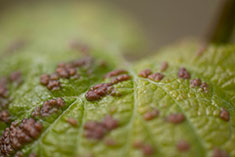 big image 11
