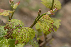 big image 12