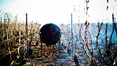 big image 21