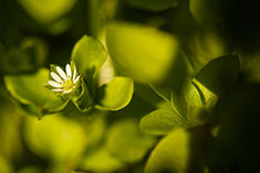 big image 28
