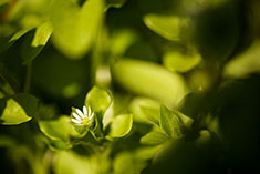 big image 35