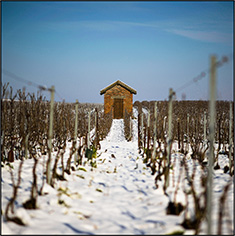 big image 01